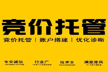 SEM托管实战案例：助力企业品牌形象塑造